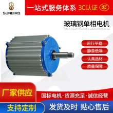 玻璃钢单相电机 YS63系列180W-370W玻璃钢单相电机 全铜