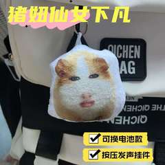 仙女下凡发声挂件搞笑荷兰猪妞碧昂丝人脸按压说话可换电池钥匙扣