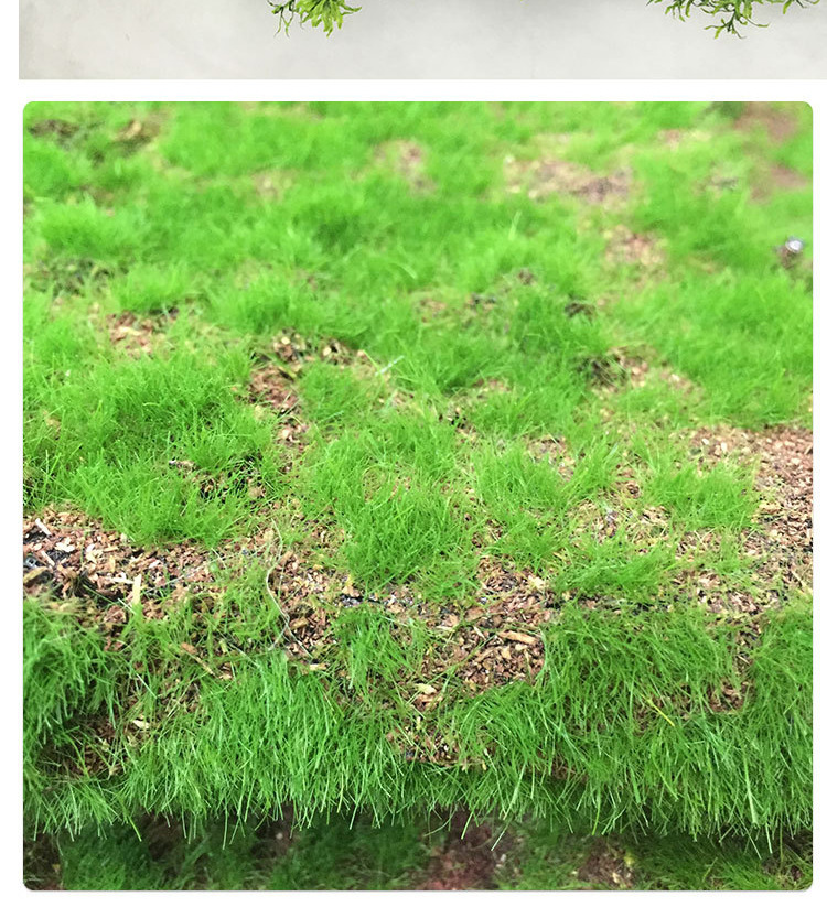 苔藓草皮详情_12.jpg