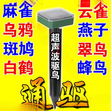 �����1000�ס���B��������Bș�ڿƼ�����̫����s�B���B���B��