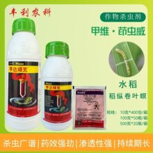 ���_�B��16%�׾S���x���׾S�}���x�����v���~�������x�rș���x��