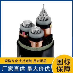 �͟��o�uWDZC-YJLY WDZC-YJLY33 WDZN-YJLY63 6/10KV�и߉��X��|