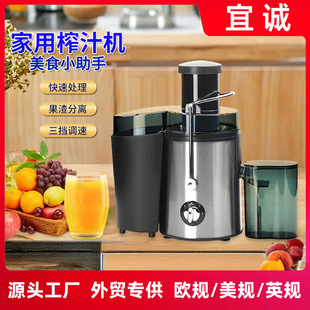 Juicer Household Multifunctional Residue Juice Separation Juicer Household Small Juicer Fully Automatic Juicer Fruit and Vegetable