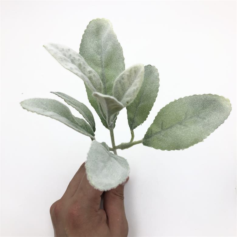 2021-07-21 180758.jpg