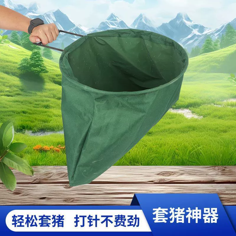 Новая свиная головка сгущена