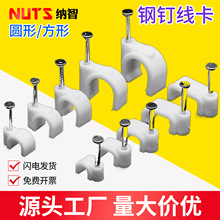 �A���ᔾ����ӾW����߾����۹̾�����������ο��4-25MM