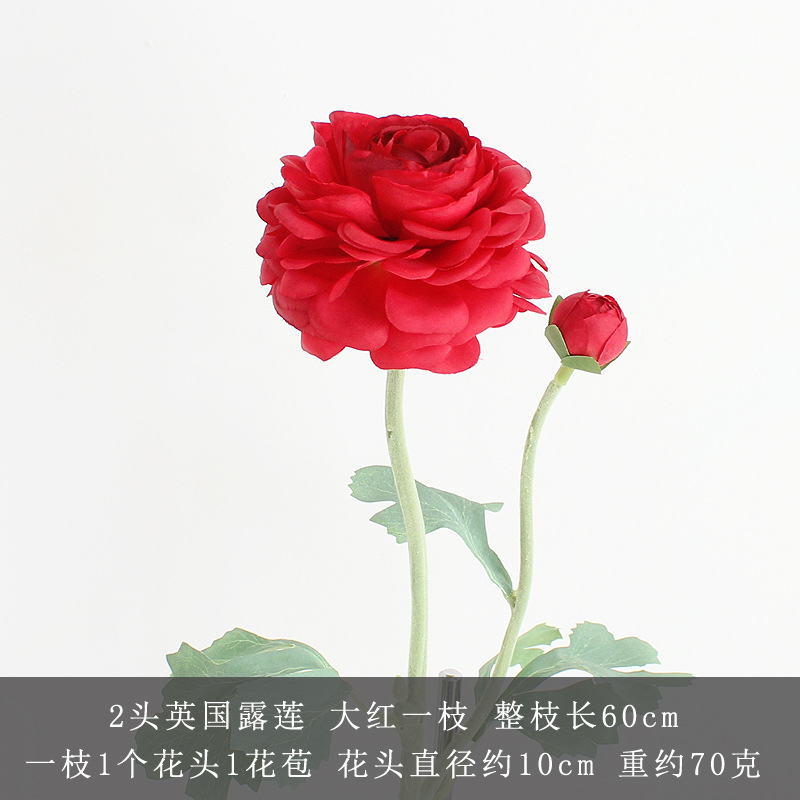 레드