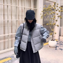 �p�洩��q���R��Ů2025���ﶬ���n�挒�ɿ������R�A�������׿羳