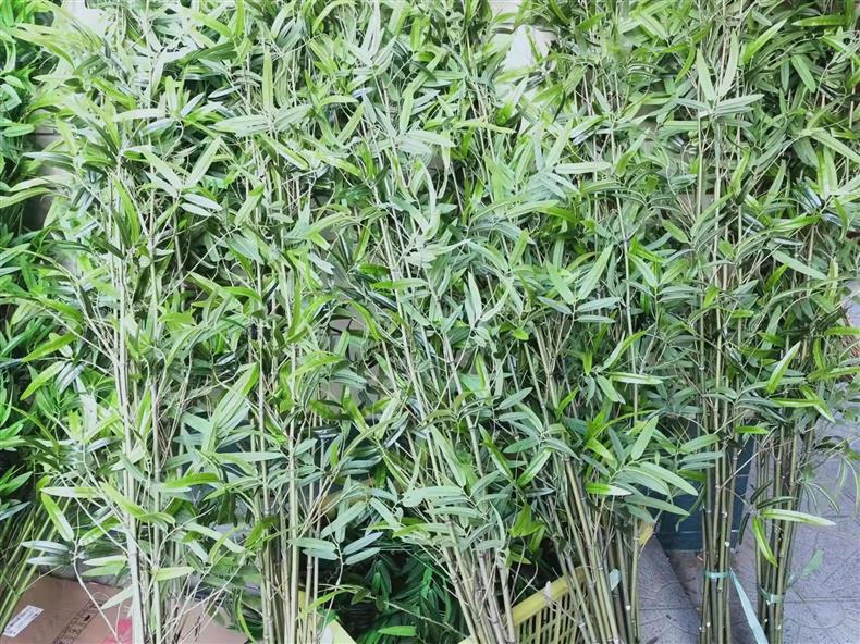 微信图片_20220802182314