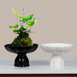 ����ˮ�໨���մɻ���̦�\����͏d����Gֲ���є[���辰�ɹ��P