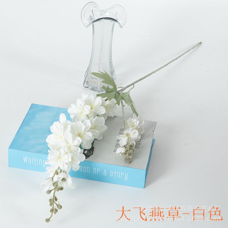 화이트