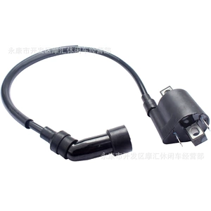 Motosiklet Bli Bj125-3E Bj125-3 125Cc Tnt 125 135 yüksək gərginlikli alışma bobini