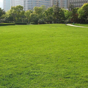 Ұţ�ݲ����o�¹����ݷN�Ѱ����ļ������ͺ��ͺ�Ұţ�����ݷN��