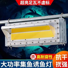 ��������ÿ��ɔ_LED���~�����~��COB��Դ800W���~����T�~��ˮ��