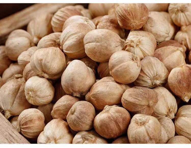 Bai Dou Kou (Amomum kravanh) — Dried White Cardamom Spice for Braising & Herbal Cooking preparation