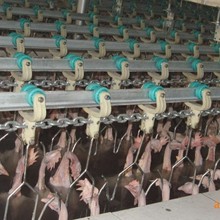 �������� ������ˮ�� ���u�������a�� �u���Ԅ�������ˮ�����