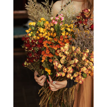 �ɻ��������^õ���L���滨�͹ŝM���ǿ͏d�b���Ȼ���Ք[�O