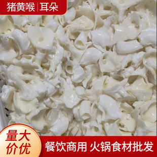 �i�S�����l5��߅���϶����i�Ĺܻ��ʳ������ð�������C���l����