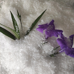 雪景色を撮影するためにクリスマスの背景をシミュレーションします。