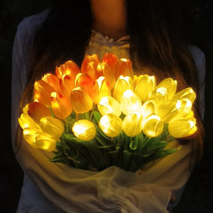 ��ɫ����������Сҹ���������l�⻨���Ҿ��b[�����ռٻ����˹�