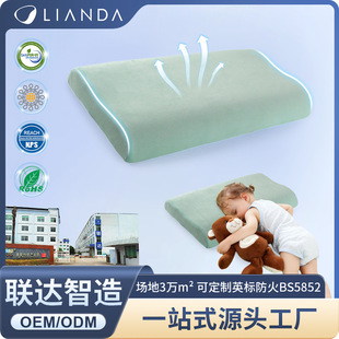 Wholesale Children Memory Pillow Kindergarten Special Small Pillow Nap Baby Side Nap Four Seasons Universal Stereotype Pillow