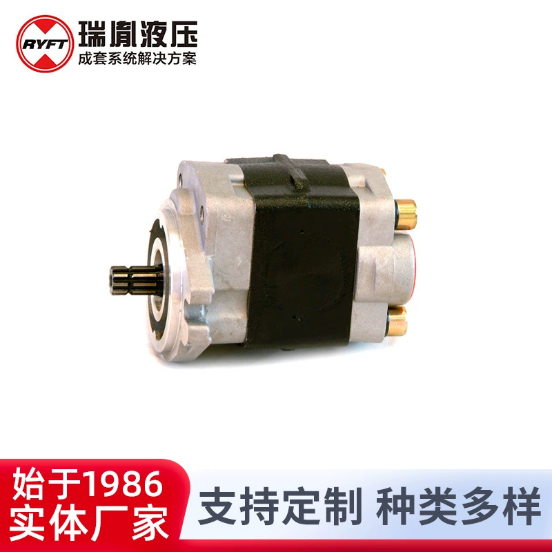 Rui Yi 2.5 группа литого алюминиевого вилочного погрузчика гидравлический зубчатый насос вилочный насос инженерная техника Гидравлический зубчатый насос