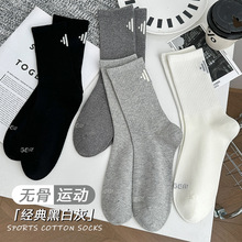 ��ʿ��Ͳ�m���ﶬ���ްٴ����������̄����m�����\���L�o�ǻ@���m