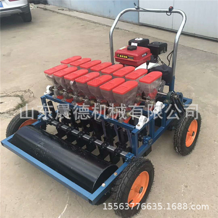 汽油药材点播机 电动蔬菜精播自走式香菜播种机