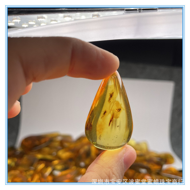 1637077405398_副本