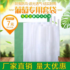 メーカー直販ブドウ袋専用袋ブドウ袋防水防鳥防虫露天ブドウ袋専用紙袋