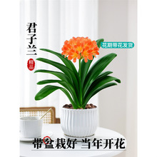 �����m�����玧��������ֲ���҃ȇ����ؼ��ޟo�Ծ�Ʒ���F�ļ����B