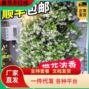 һ�����l�L܇�������Դ���к��B�ٴ��z���ٻ����ͺ��̨����ֲ��