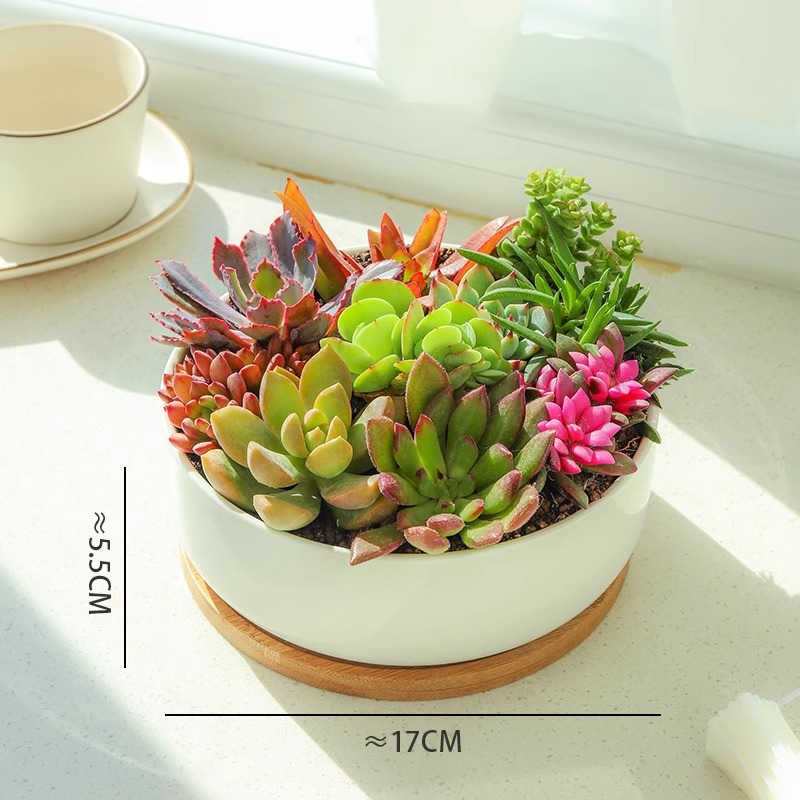 [점주 추천] 원형그릇과 깊은 세면대 조합A (세면대+대나무받침 포함)