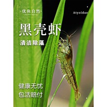 �ښ��r�����^�p�r�坍���r��ˮ���w������r�r���^�p�ѻ��r�O���r