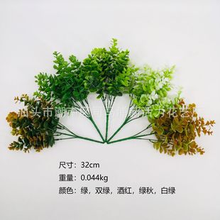 ����Gֲ 5�^��ɫɏ���� ����ֲ��Gֲ���l �k�����҃��b� �ٻ�