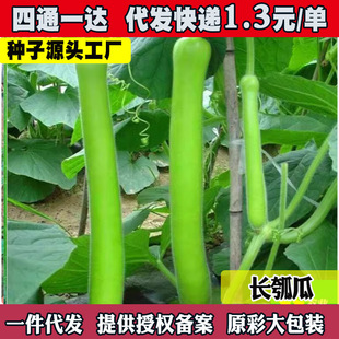 ��������ӹϷN�������ѹ��L�ϴ����＾�˺��J��ͥԺ���ٲ�