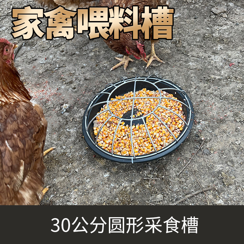 新しい鶏の餌箱、鶏の自動給餌器、放し飼いの鶏の餌箱、鶏、アヒル、ガチョウ、牛の腱の鉢を転倒させることはできません。|undefined