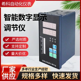 显示仪表;流量计;磁翻板液位计