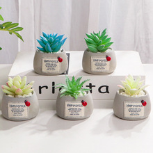 北欧ins风仿真多肉盆栽小摆件创意客厅室内桌面装饰迷你假绿植物