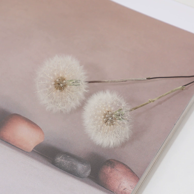 Сушеный цветок одуванчика, образец бессмертного цветка, креативный клей, украшение своими руками, цветок ручной работы, подарок на день учителя, ваза, цветочная композиция