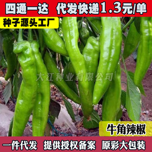 �ش�ţ�ǽ��N�Ӵ������ཷ�⽷������N��΢����Ʒ�N�����߲���