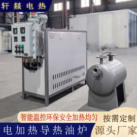 低压高温导热油加热设备 工业电加热导热油炉 有机热载体锅炉