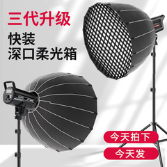 専門のスタジオの撮影の補助ライトの直播間の深いグリルの照明のLEDの補助ライトの柔らかい光のボールの撮影灯