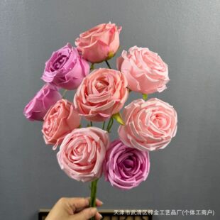 ���滨3�^�F��õ���������ٻ����l��c����Ӱ���Ĕz���߼ҾӔ[�O