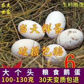 新鲜鹅蛋100-130克农家散养蛋生鲜禽蛋孕妇婴幼儿可以食用大6枚装