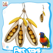 �¿�z�Ͻj�����㶹�v����ĥ����߻�Ƥ�˸��ҧ����B�\���