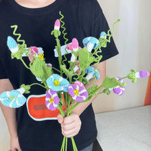 Ʒֹëhţɫ DIY廨زĿ羳NҾӔ[b