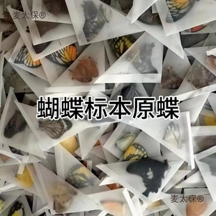 ������˱�����ԭ��δչ���ֹ�diy�������x�˱��P��ԭ�x͐��̫��