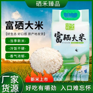 �����������l�����خa�����װ��]5kg10��Fĥ�F�l�����������l