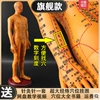 Copper color hard model [54cm male model] arm can turn digital scale